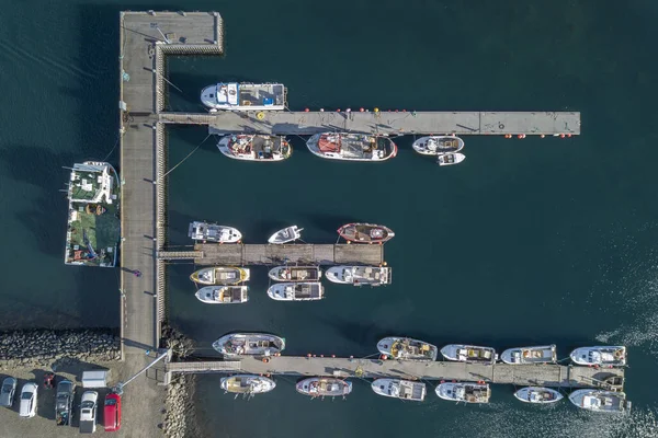 Djupivogur Hamn Med Dockade Båtar Island — Stockfoto