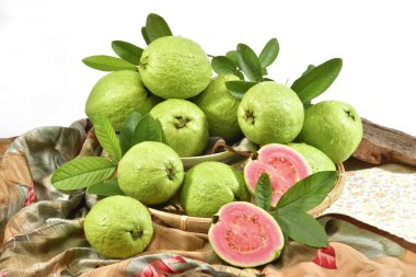 Stüdyo çekimi Psidium guava Linn