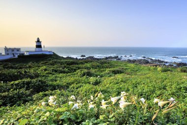Fuguijiao Deniz feneri ve Tayvan zambağı New Taipei şehrinde.