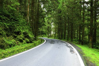 Mingchi Ulusal Orman Dinlenme Bölgesi Tayvan