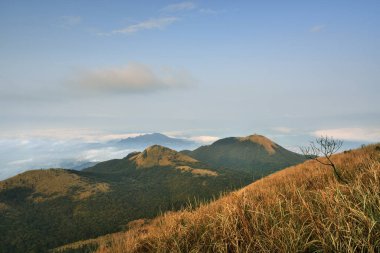 Yangmingshan Milli Parkı Tayvan