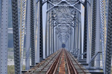 Dajia Nehri Çelik Köprüsü Tayvan