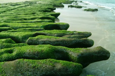 LaoMei Green Resifi Shihmen Bölgesi New Taipei Şehri