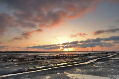 Taichung Tayvan 'daki Gaomei Bataklıkları