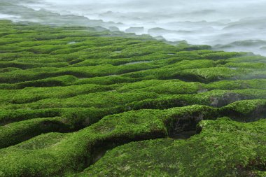 LaoMei Yeşil Resifi Tayvan