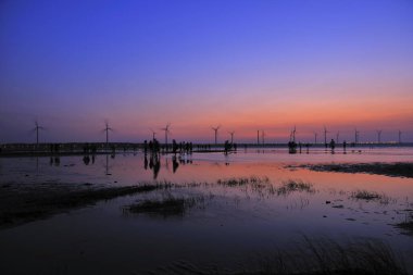 Gaomei Wetland Taichung Şehri Tayvan