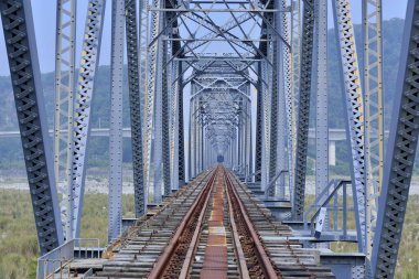 Dajia Nehri Çelik Köprüsü Tayvan