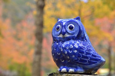 Baykuş dekorasyonu Tayvan, yakın plan görünüm