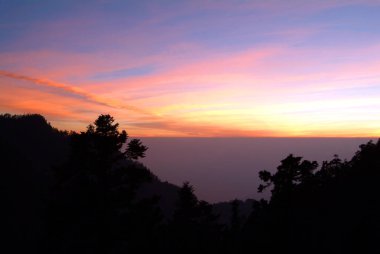 Yushan Ulusal Parkı Tayvan