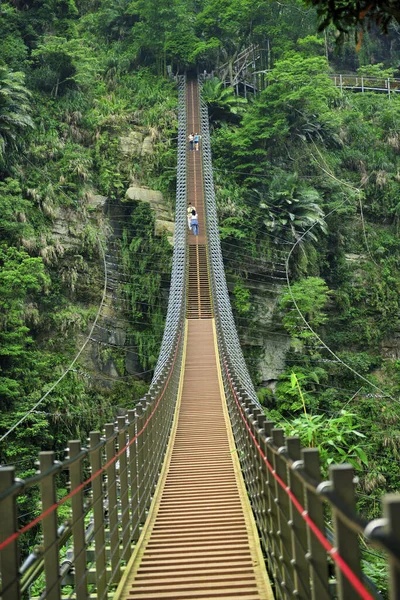 Sky Ladder Puente Colgante Bambú Nantou Taiwán — Foto de Stock