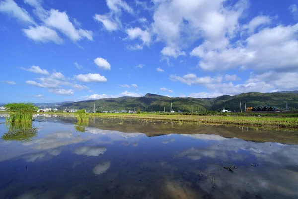 Terres Agricoles Taiwan Paysage Naturel — Photo