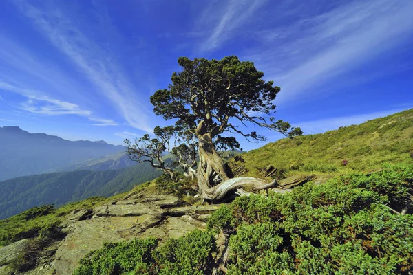 Captura Escénica Del Parque Nacional Taroko Nantou Taiwán — Foto de Stock