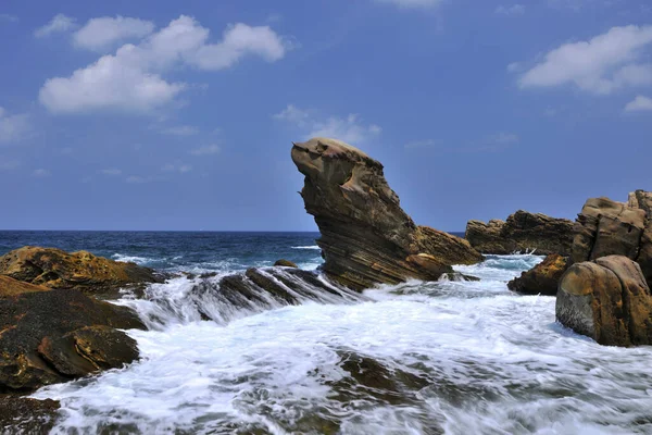 Sello Piel Rock Ciudad Nueva Taipei Taiwán — Foto de Stock