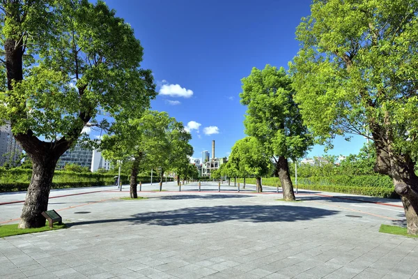 青翠的绿树映衬着蓝天台北远东电信公园新台市 — 图库照片