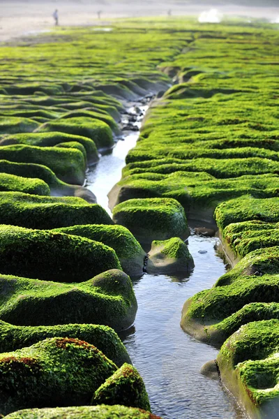 Laomei Green Reef New Taipei City Taiwan — Stockfoto