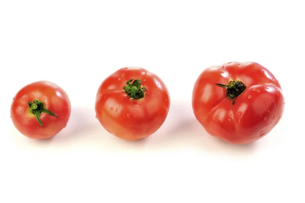 Tomate Sur Fond Blanc — Photo