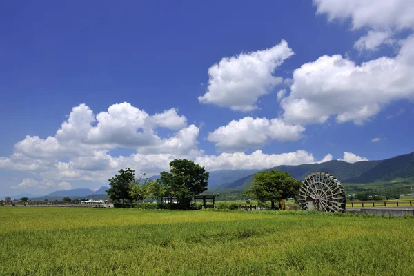 Mrbrown Avenue Taiwán Paisaje Natural —  Fotos de Stock