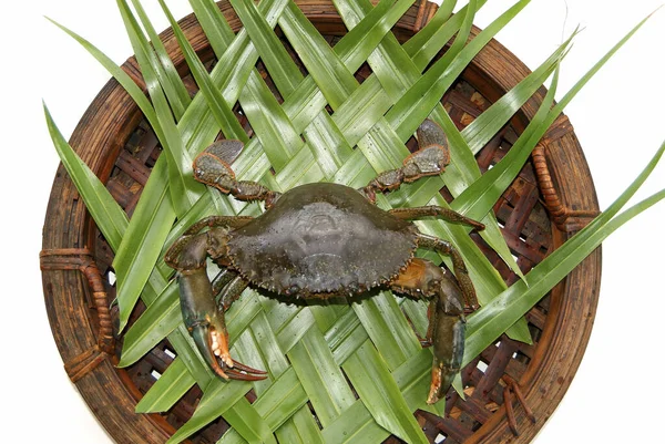 Cangrejo Fresco Hoja Verde — Foto de Stock