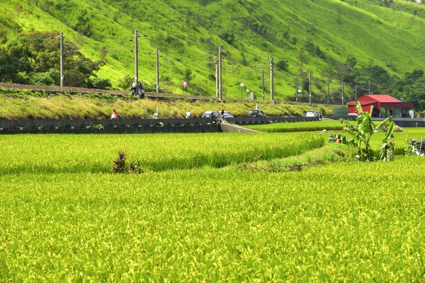 Qingshui Helling Taiwan Natuur Landschap — Stockfoto