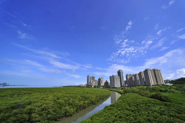 新台北市三井的城市风景及自然景观 — 图库照片