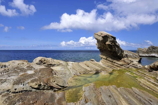 Fur Seal Rock Nya Taipei City Taiwan — Stockfoto