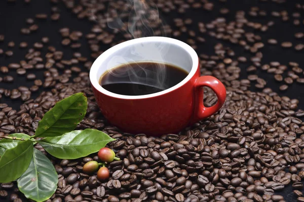 Rostiga Kaffebönor — Stockfoto