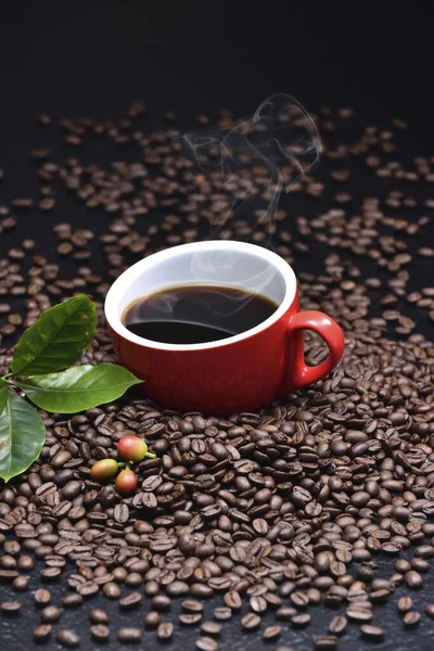 Rostiga Kaffebönor — Stockfoto