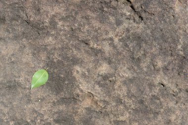 Taş doku doğa ve arka plan.