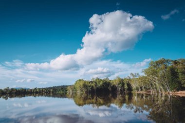 Orman ve göl hüzünlü müzik manzara ile. Tonda fotoğraf.