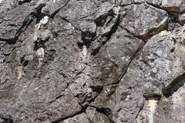 Taş doku doğa ve arka plan.