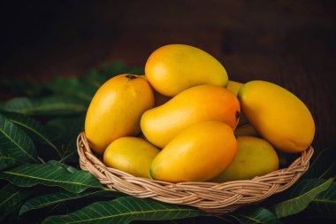 Tahta sepetin içinde yeşil yapraklı mango tropikal meyveleri kopya alanı ile ahşap zemin üstüne koyun.