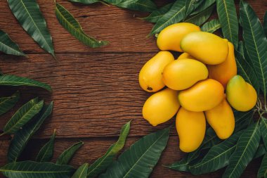 Yeşil yapraklı mango tropikal meyveler kopya alanı ile ahşap arkaplan, üst görünüm