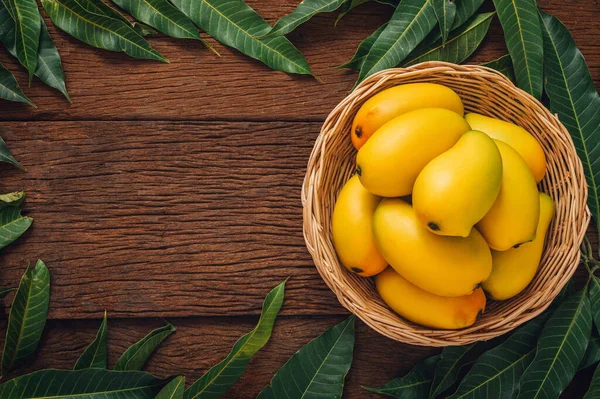 ポートフォリオ Montri1234 ストック写真 イラストとベクターアート Depositphotos