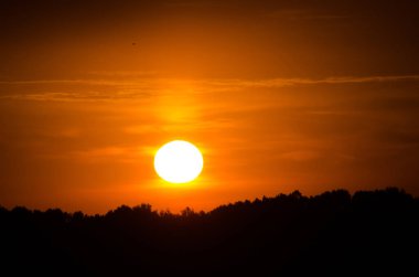 Gündoğumu veya günbatımı güneş diski Orman ağaçları sı üst kısımları yukarıda
