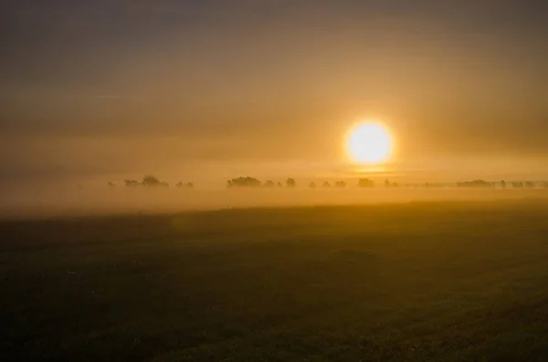 O disco do sol que nasce na névoa de manhã adiantada no rural é — Fotografia de Stock