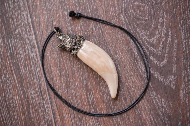 Geyik kahverengi bir bac üzerinde gelen büyük ayı diş ve kemik kolye oyulmuş