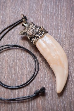 Geyik kahverengi bir bac üzerinde gelen büyük ayı diş ve kemik kolye oyulmuş