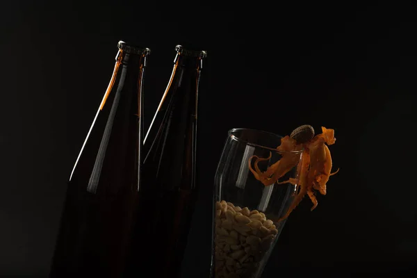 Golden beer in a bottle and in a glass and snack nuts, squid and — Stock Photo, Image