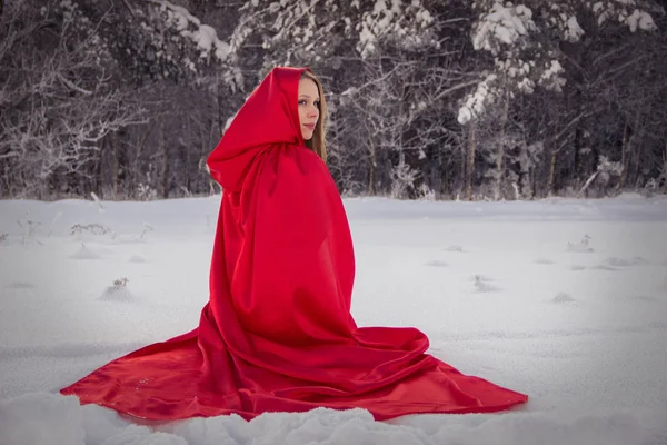 Meisje in Little Red Riding Hood kostuum met hond als een wolf — Stockfoto