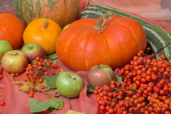 Autumn still life with pumpkins and apples — Stock Photo, Image