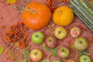 Kabak ve elma ile sonbahar natürmort