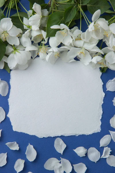 Greeting card with branches of apple blossom on a blue backgroun — Stock Photo, Image