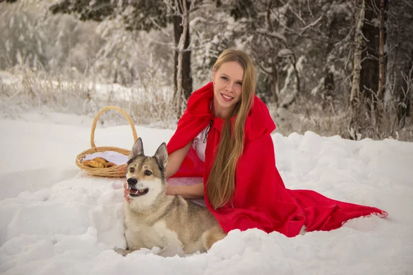 Girl in costume Little Red Riding Hood with dog like a wolf — Stock Photo, Image