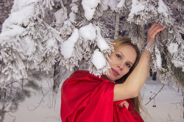 Menina em traje Chapeuzinho Vermelho com cão como um lobo — Fotografia de Stock