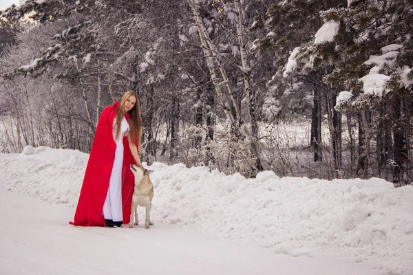 Girl in costume Little Red Riding Hood with dog like a wolf — Stock Photo, Image
