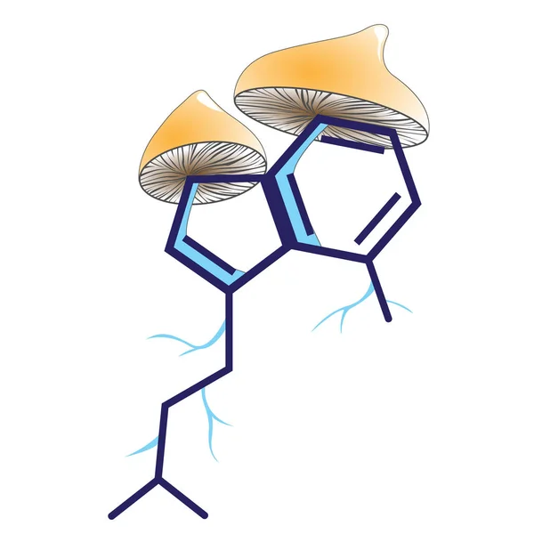 Molecule van psychotrope stof psilocybine en verschillende schimmels — Stockvector