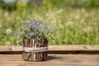 Güzel mavi küçük çiçek bir buket korun denilen 