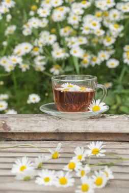 Bir yaz güneşli mo üzerinde ahşap bir masa üzerinde papatya ile bitkisel çay