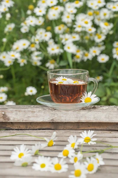 Bir yaz güneşli mo üzerinde ahşap bir masa üzerinde papatya ile bitkisel çay