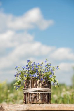 Güzel mavi küçük çiçek bir buket korun denilen 